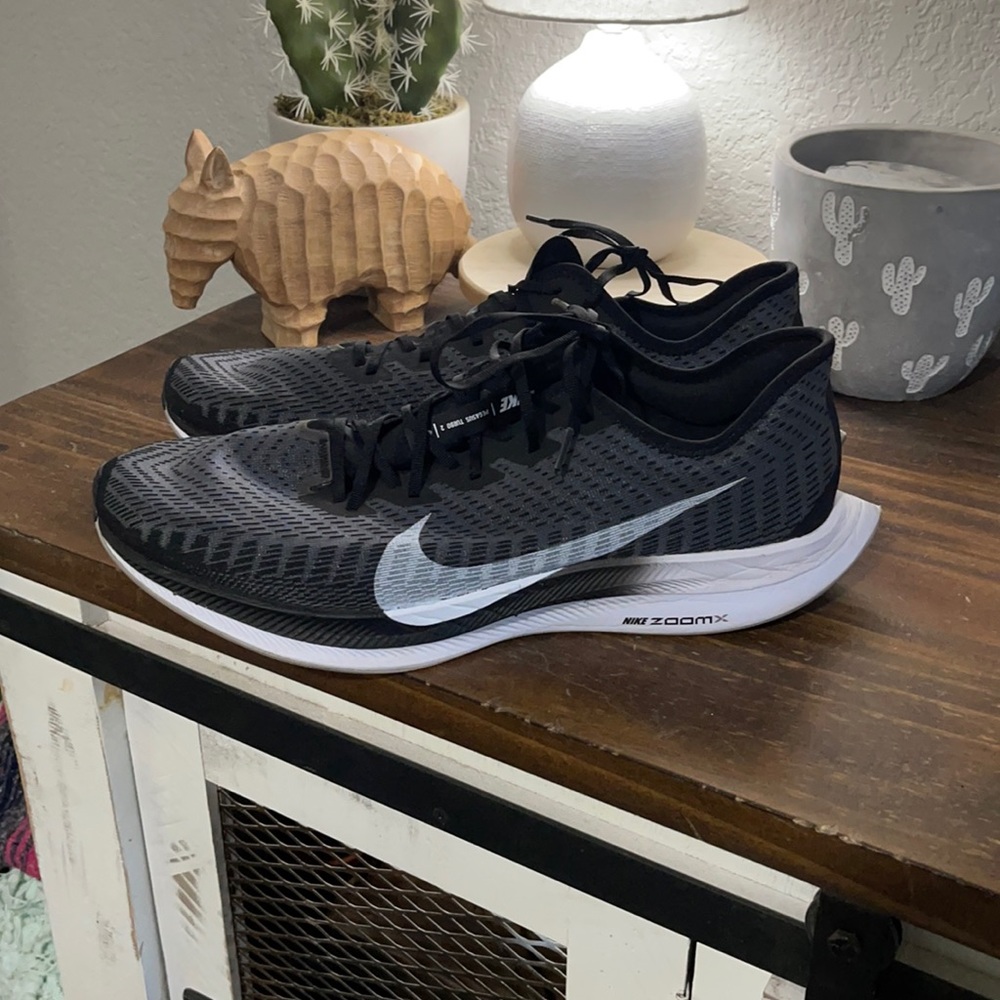 Nike Pegasus turbo 2
